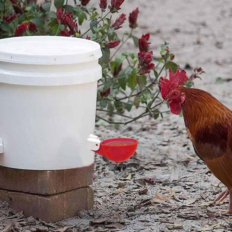 Automatische waterbekers voor kippen (6 stuks)