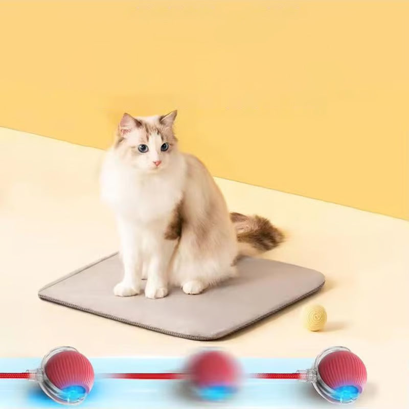 Slimme interactieve kattenbal