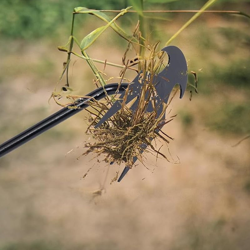 Tuin onkruid verwijderen gereedschap