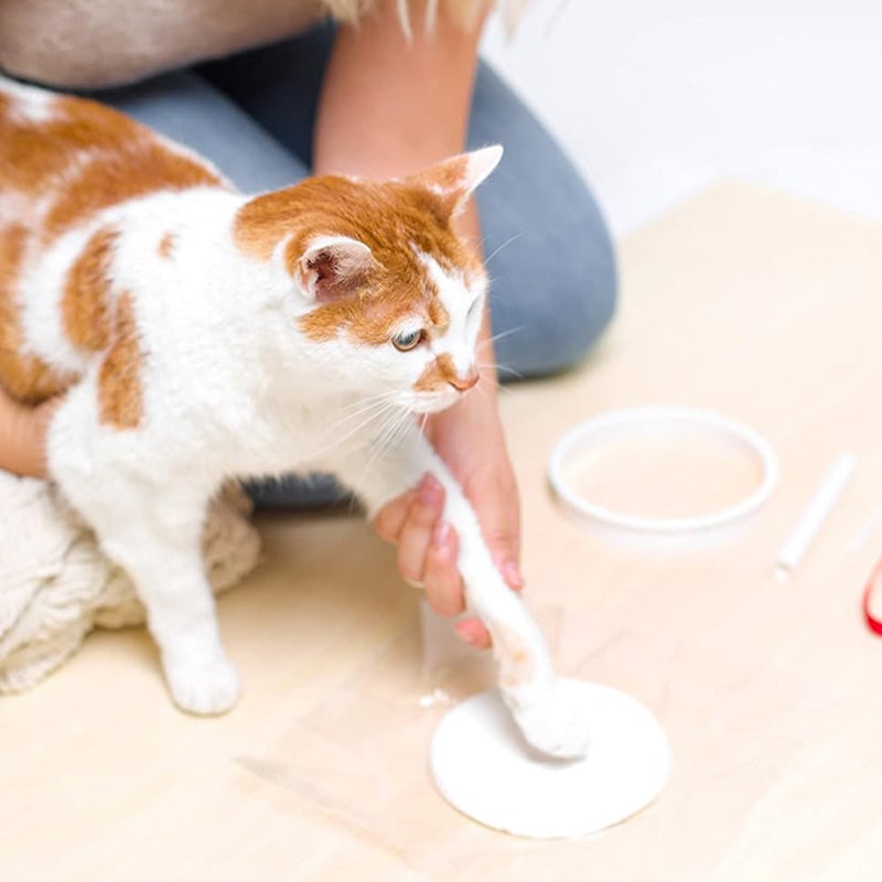 Klei huisdier pootafdruk lijstwerk kit