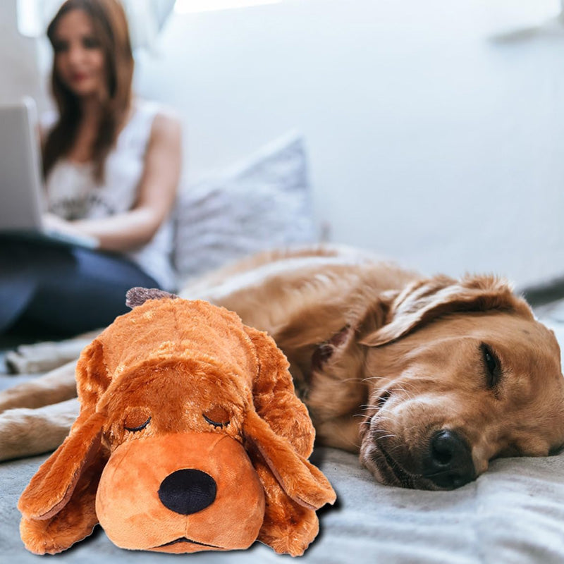 Jouet d'accompagnement anti-stress pour chien avec simulation de battement de cœur