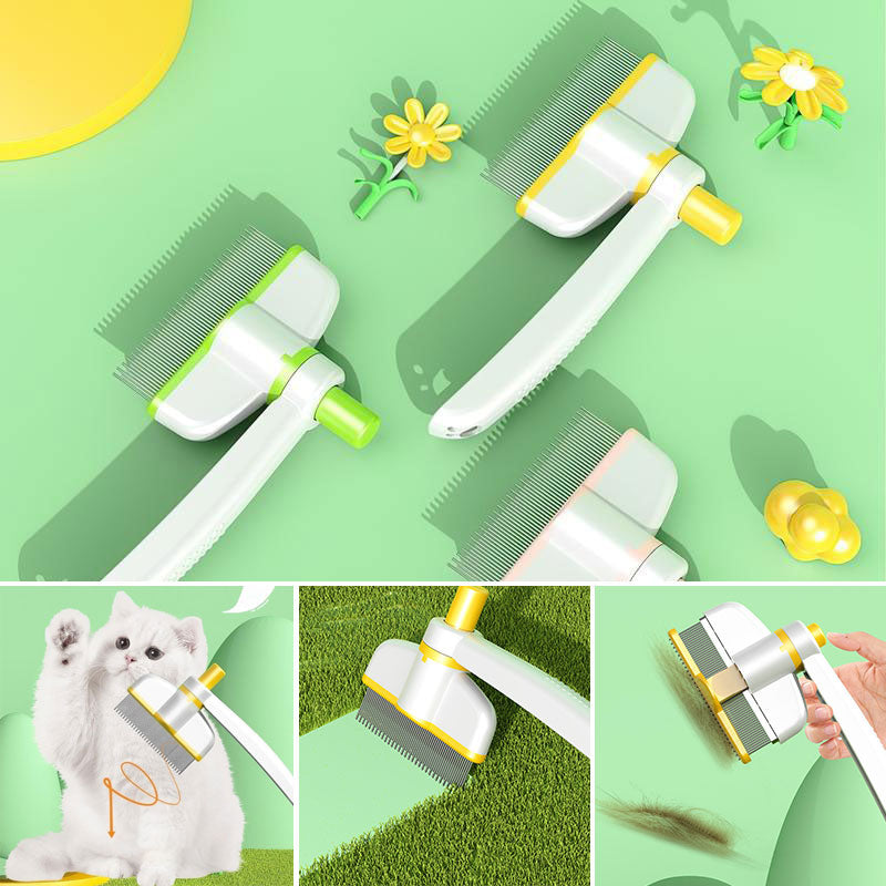 Brosse lissante autonettoyante