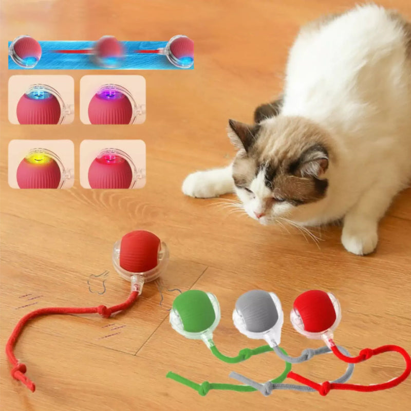 Slimme interactieve kattenbal