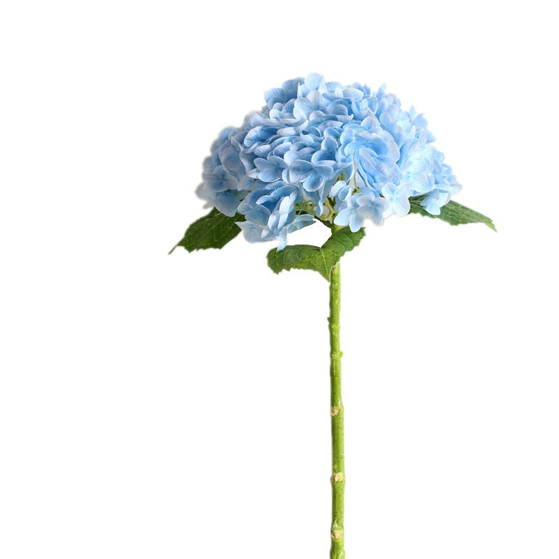 Kunsthortensia's voor buiten