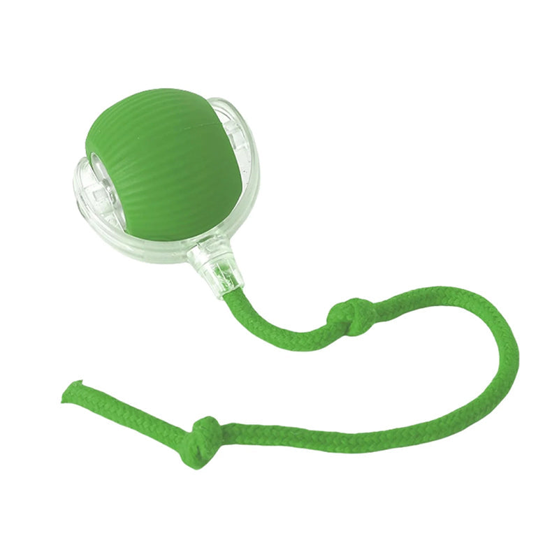 Slimme interactieve kattenbal