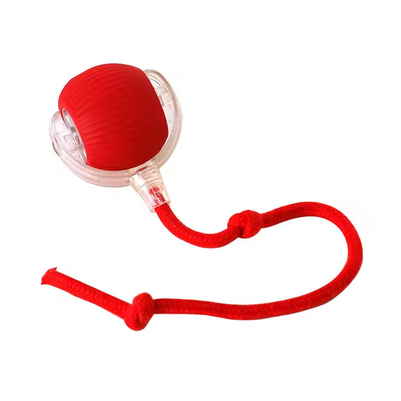 Slimme interactieve kattenbal