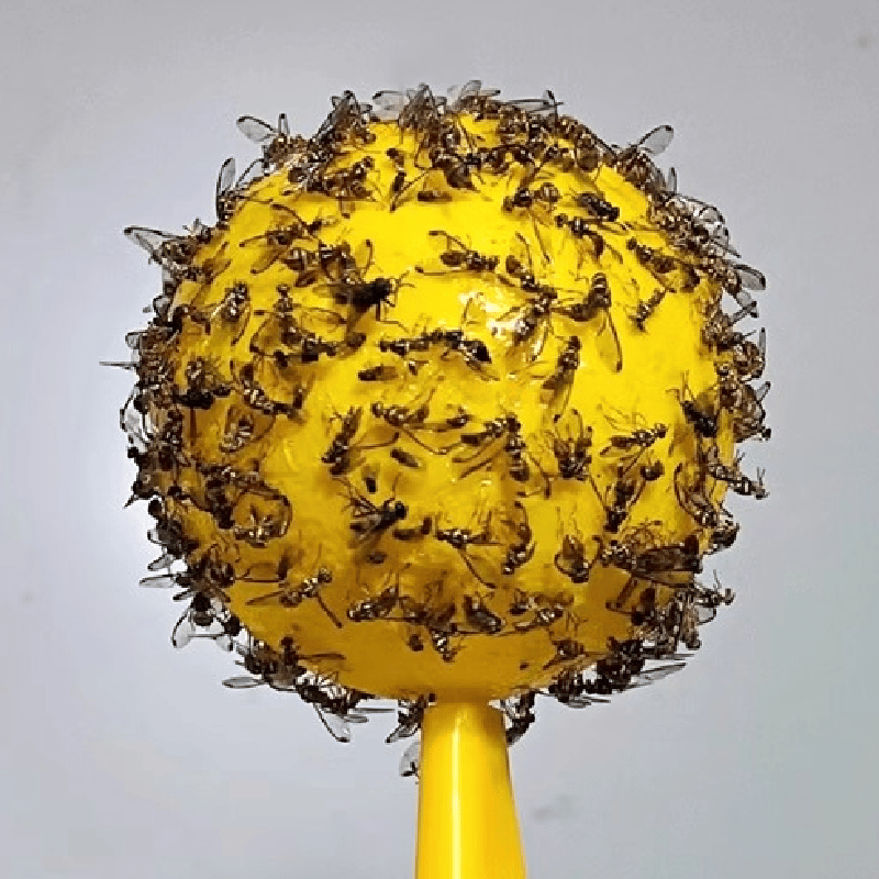 Gele kleverige insectenbal