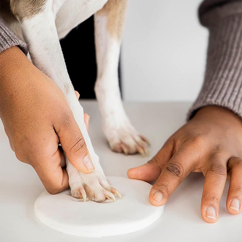 Klei huisdier pootafdruk lijstwerk kit