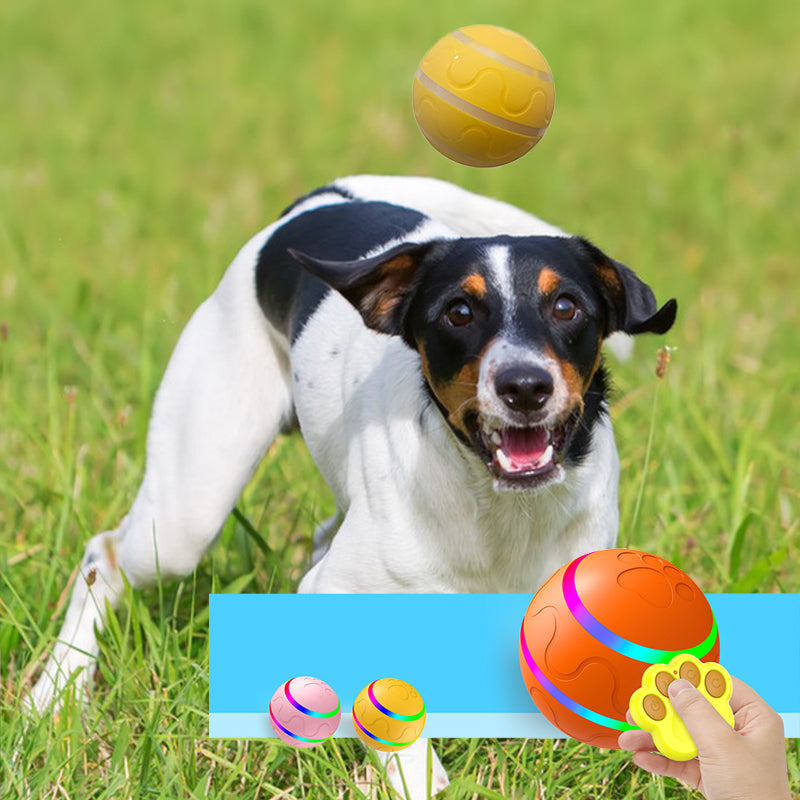 Balle interactive pour chiens
