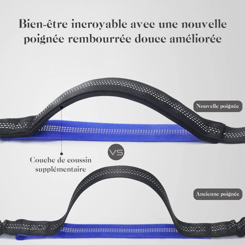 Laisse pour chien mains libres