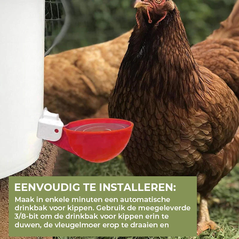 Automatische waterbekers voor kippen (6 stuks)