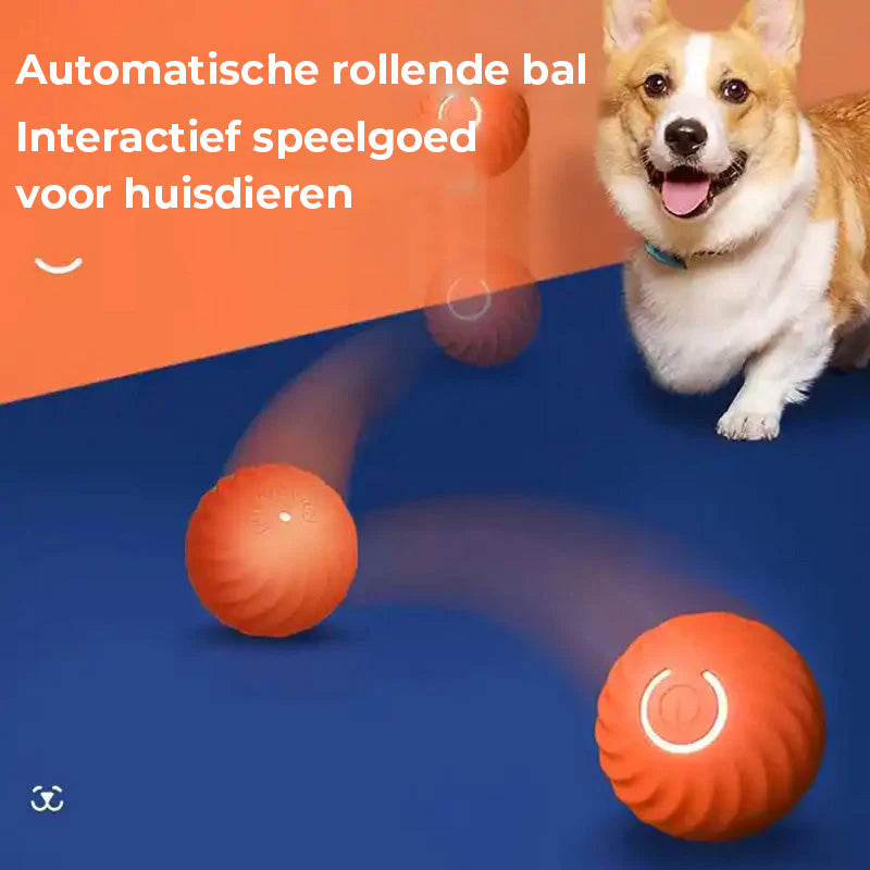 Automatische slimme plaaghondbal die niet gebeten kan worden
