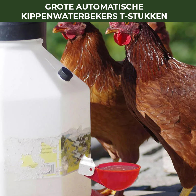 Automatische waterbekers voor kippen (6 stuks)