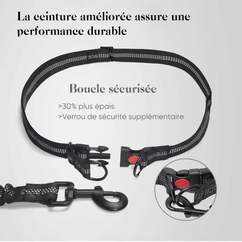 Laisse pour chien mains libres