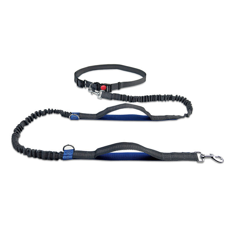 Laisse pour chien mains libres