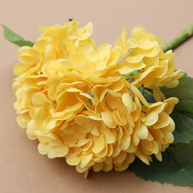 Kunsthortensia's voor buiten