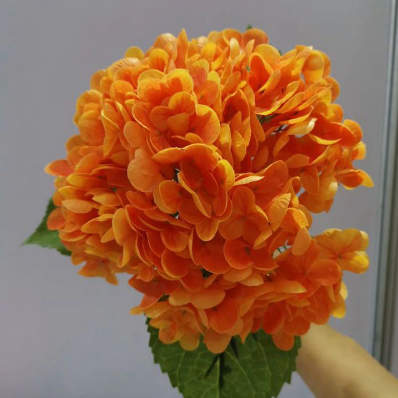 Kunsthortensia's voor buiten