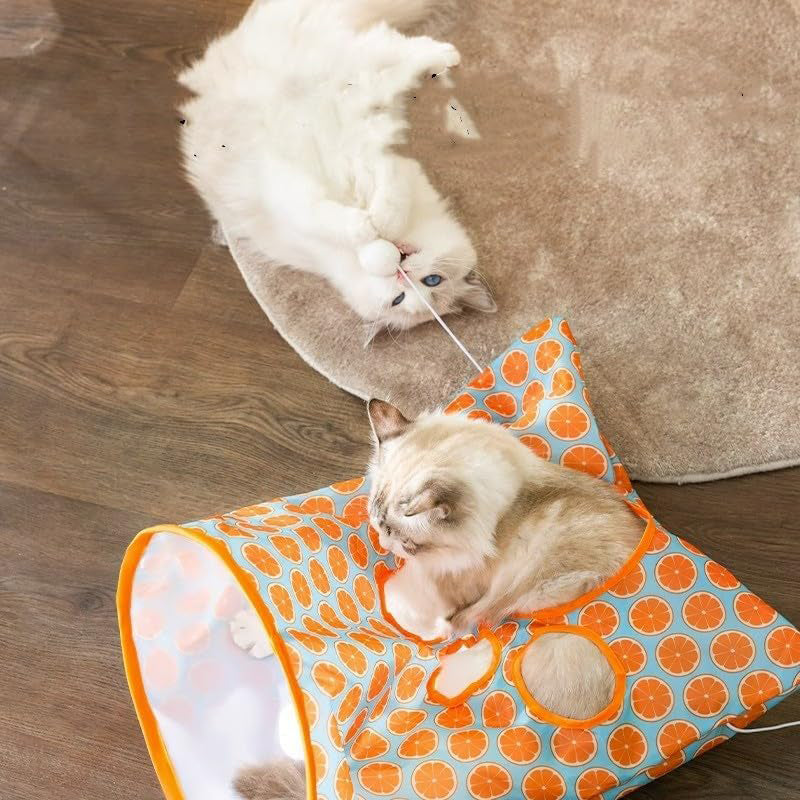 Kattentunneltas