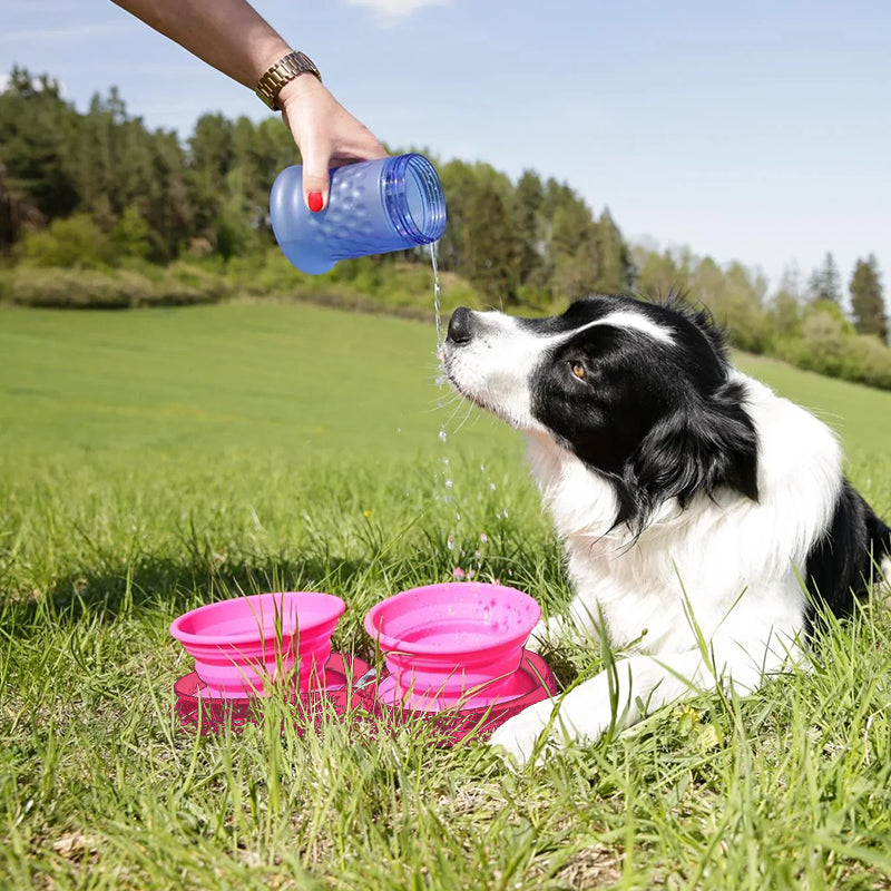 Ensemble de repas pour chien de voyage Pawfun