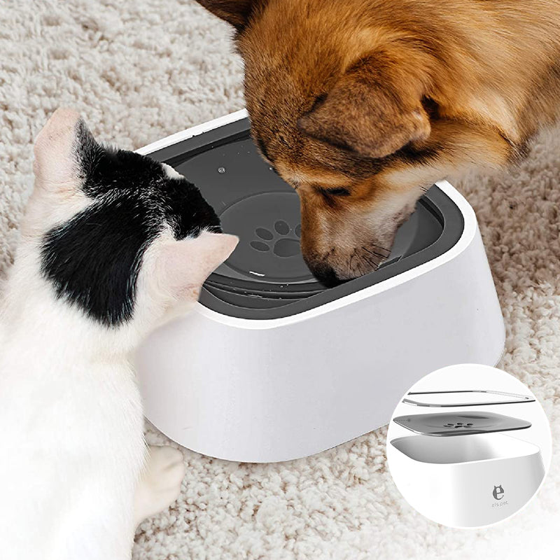 Bol Zéro Splash pour animaux de compagnie