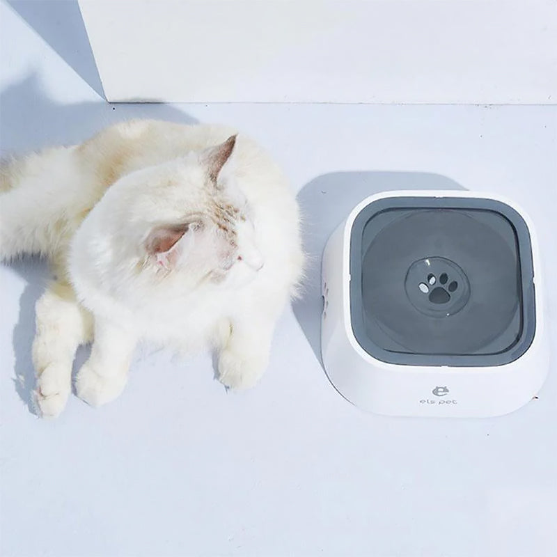 Bol Zéro Splash pour animaux de compagnie