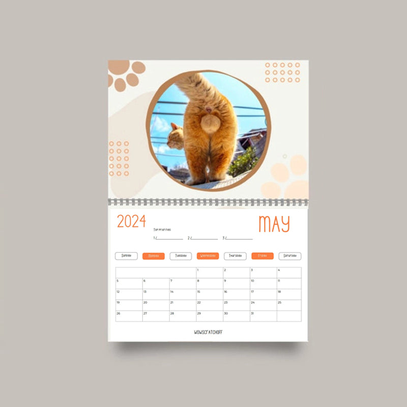 Calendrier le plus drôle du siècle | Calendrier drôle de chat 2024