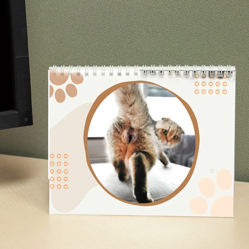 Calendrier le plus drôle du siècle | Calendrier drôle de chat 2024