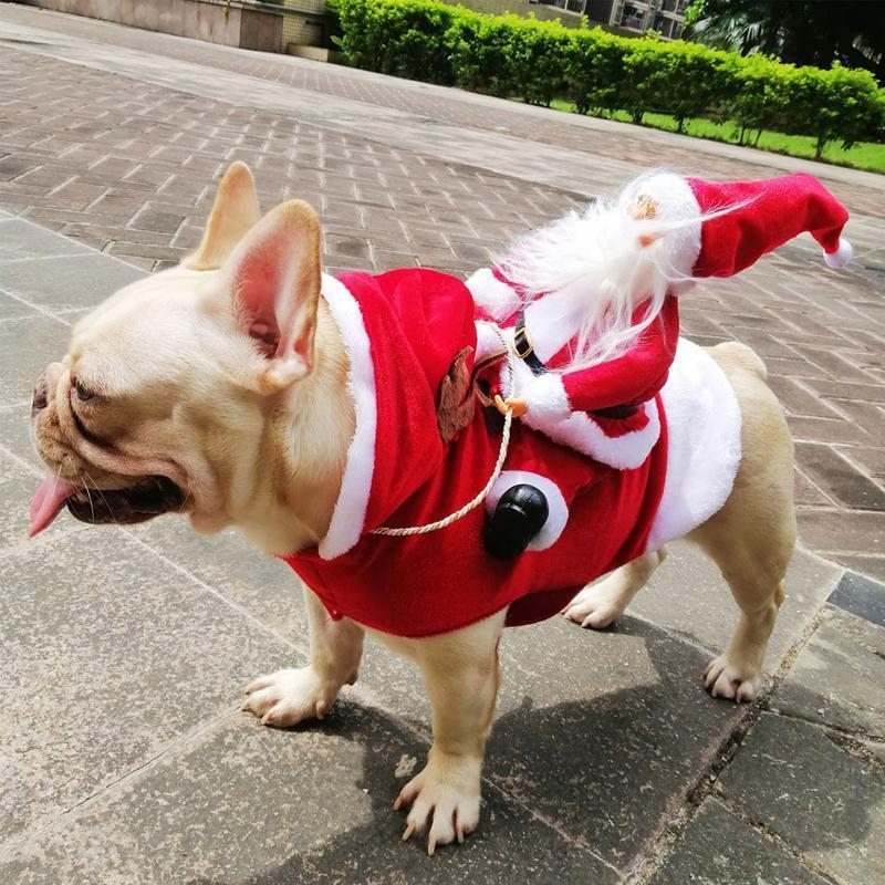 Manteau Chaud de Noël avec Capuche pour Chien