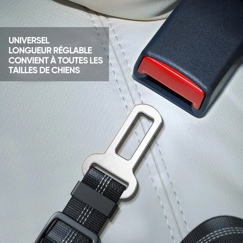 Ceinture de Sécurité Elastique Réglable pour Chien