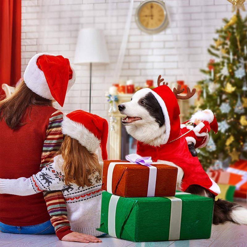 Manteau Chaud de Noël avec Capuche pour Chien