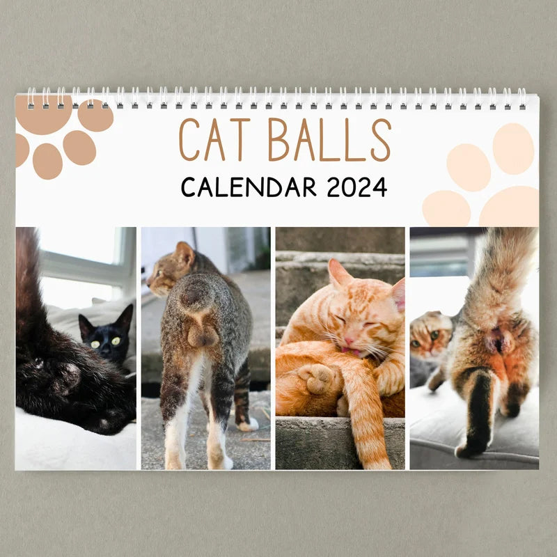 Calendrier le plus drôle du siècle | Calendrier drôle de chat 2024