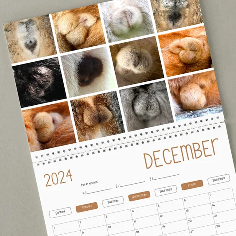 Calendrier le plus drôle du siècle | Calendrier drôle de chat 2024