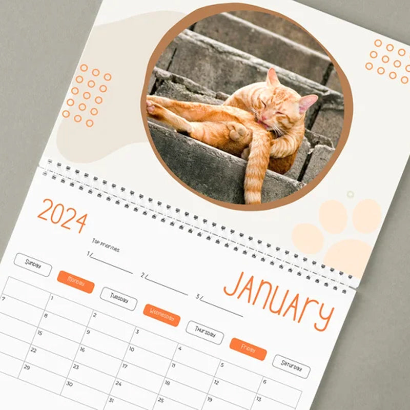 Calendrier le plus drôle du siècle | Calendrier drôle de chat 2024