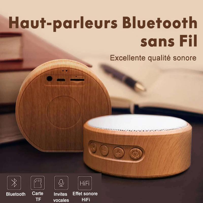 Portable Haut-parleurs Bluetooth sans Fil