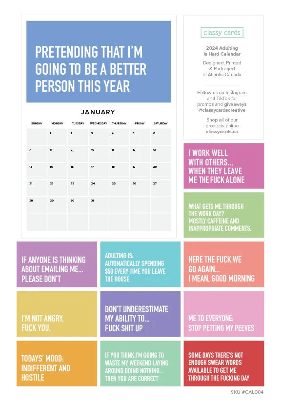 VOLWASSEN ZIJN IS LASTIG 2024 KALENDER