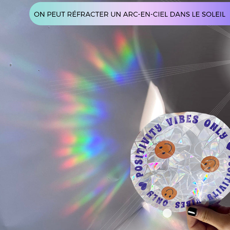 PVC animal coloré autocollant anti-collision pour vitres(6 pcs)