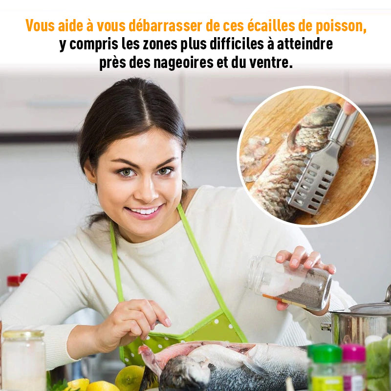 Outil de rabotage en écailles de poisson en acier inoxydable