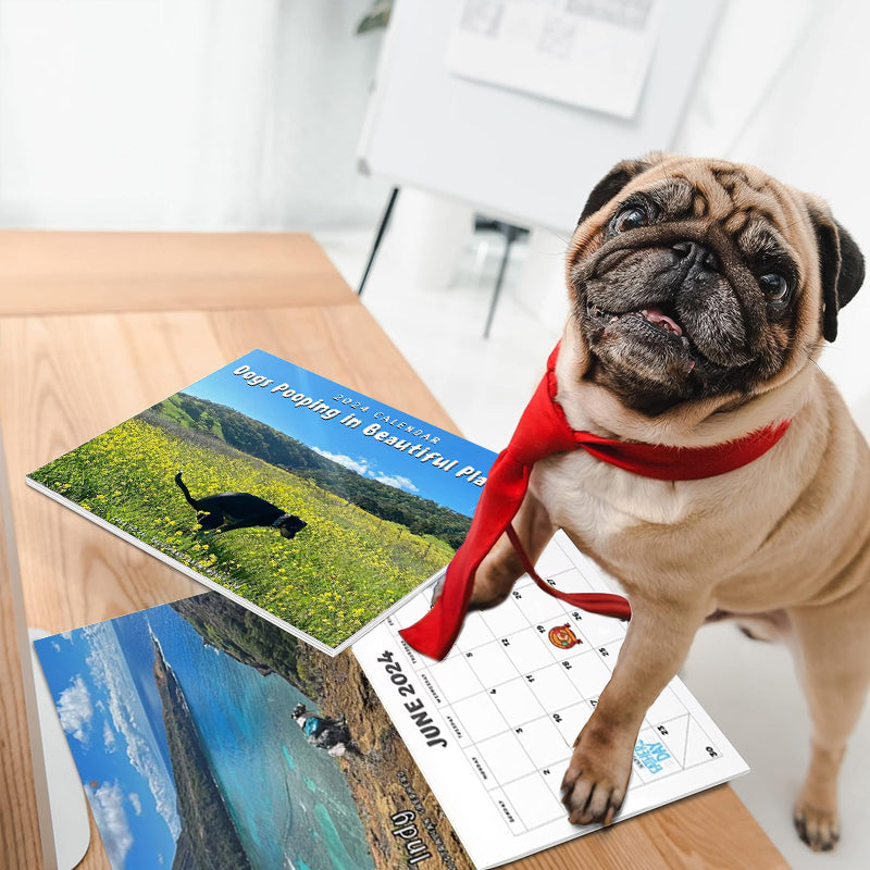 Pré-vente>>Calendrier 2024 des chiens faisant caca dans de beaux endroits