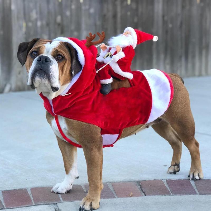 Manteau Chaud de Noël avec Capuche pour Chien