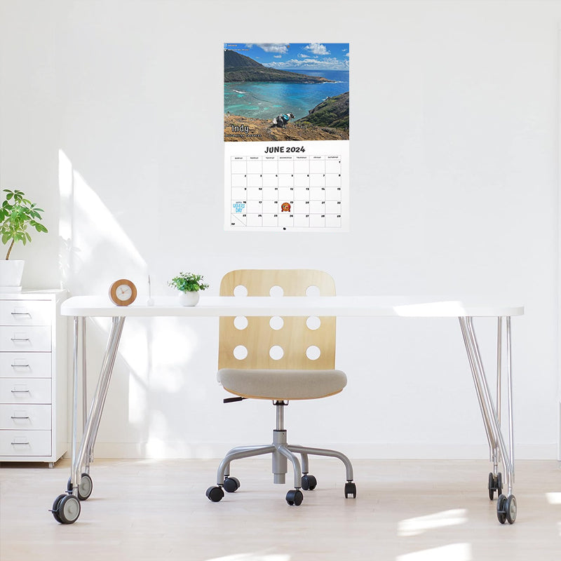 Voorverkoop >> Kalender 2024 van honden die hun behoefte doen op mooie plekken