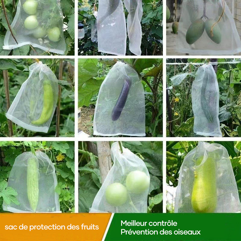 Sac de protection pour fruits (100 pièces)