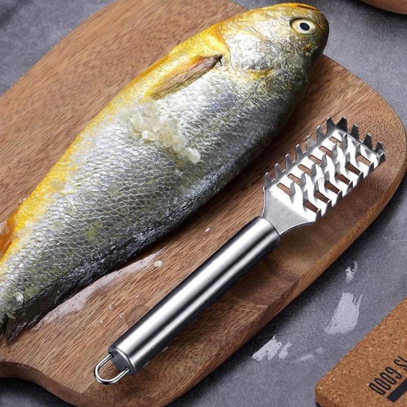 Outil de rabotage en écailles de poisson en acier inoxydable