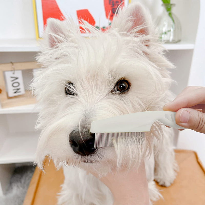 Peigne à Poils Anti-puces et Anti-taches Pour Animaux de Compagnie