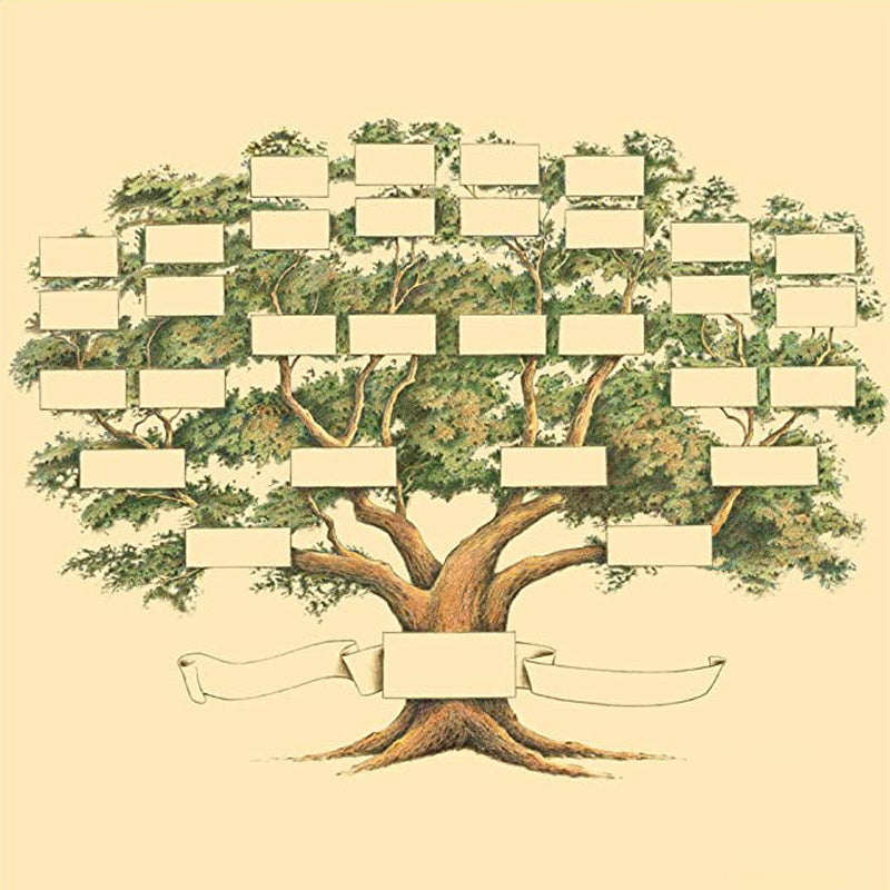 Diagramme De Généalogie De L'arbre Généalogique