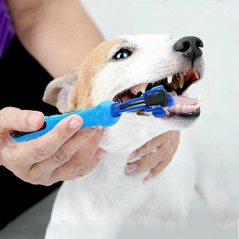 Brosse à dents pour animaux de compagnie à trois côtés