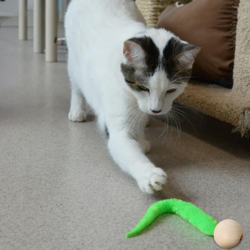 Jouet pour chat bancal avec grelots