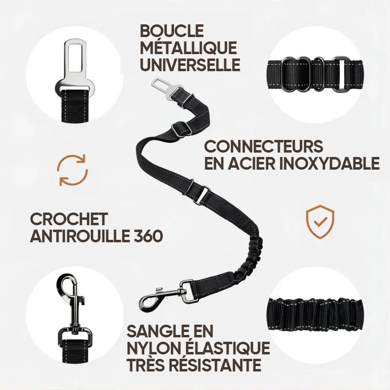 Ceinture de Sécurité Elastique Réglable pour Chien
