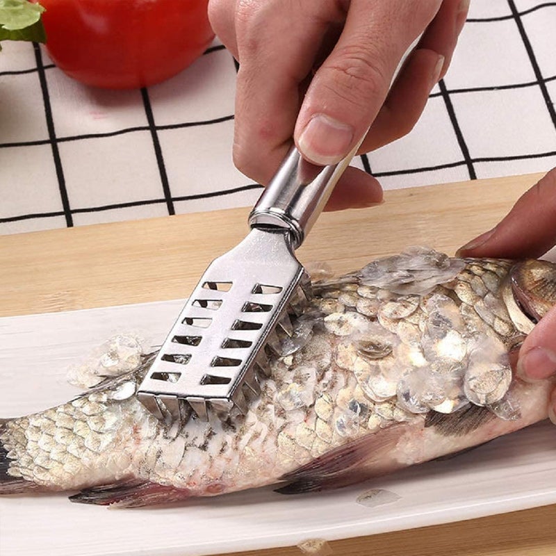 Outil de rabotage en écailles de poisson en acier inoxydable