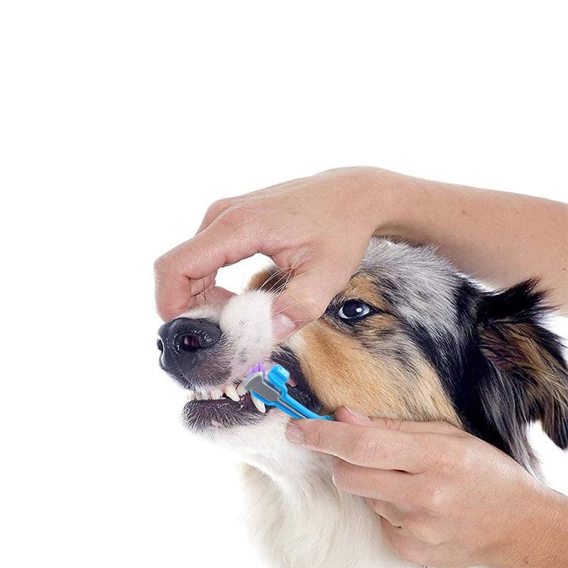 Brosse à dents pour animaux de compagnie à trois côtés