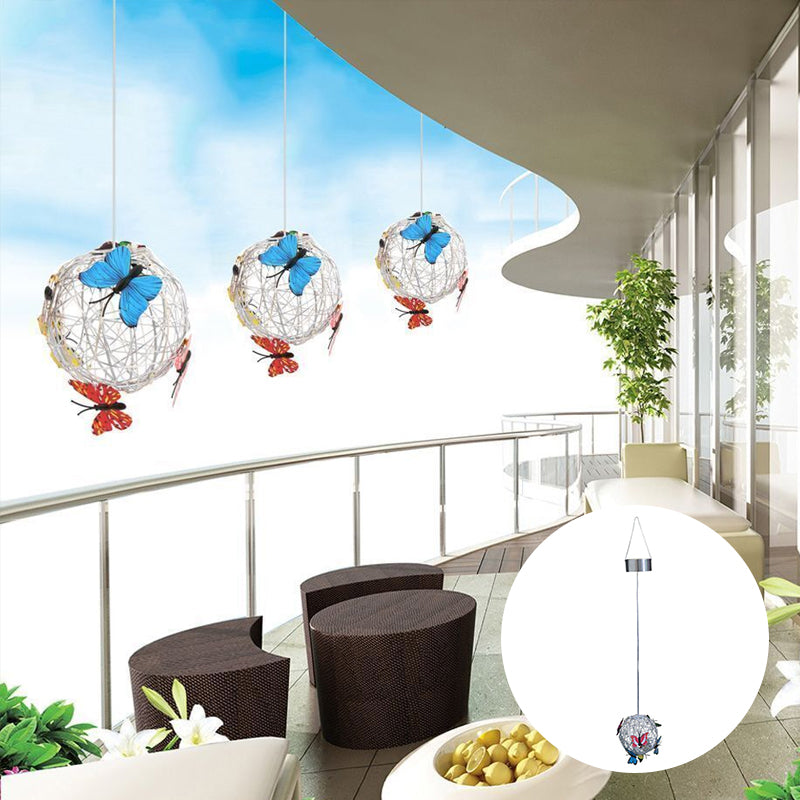 Vlinder Decoratief Zonnelicht